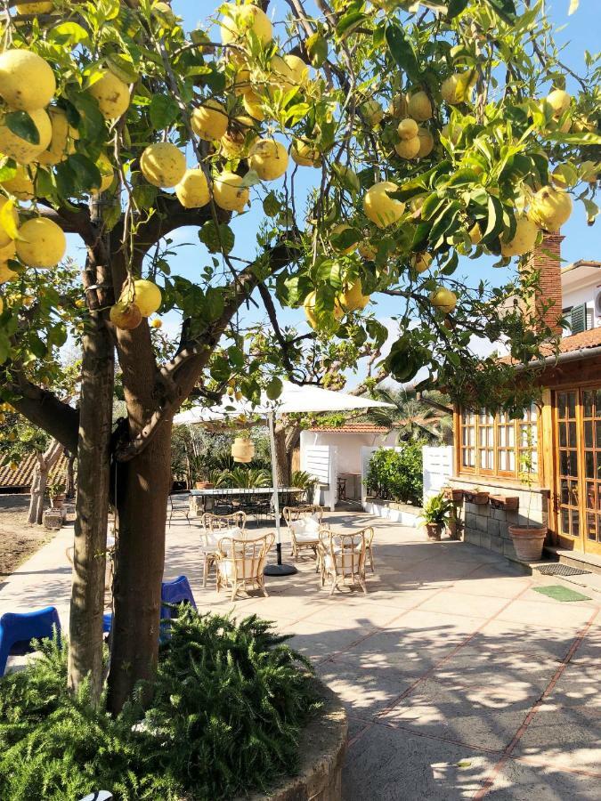 مبيت وإفطار سورينتو Casa Lucia المظهر الخارجي الصورة