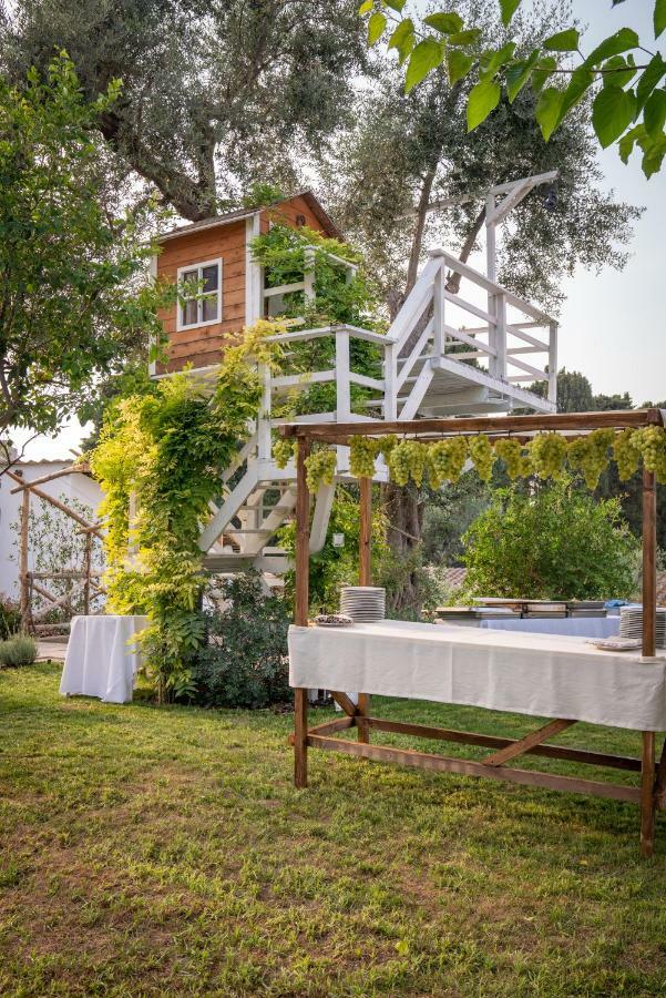 مبيت وإفطار سورينتو Casa Lucia المظهر الخارجي الصورة